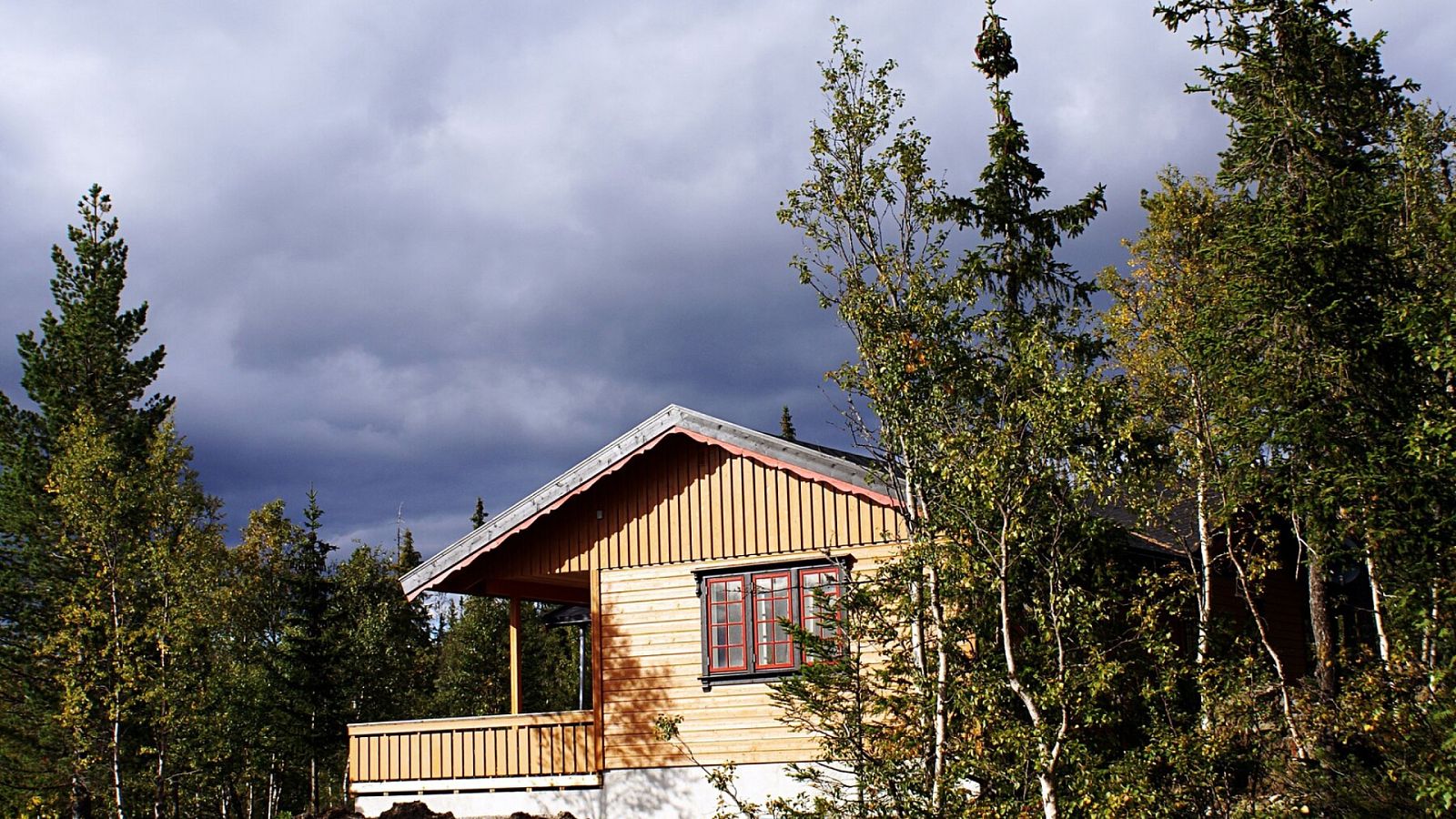 Страхование бани