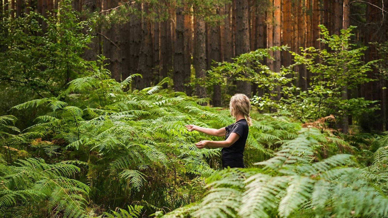 Когда начинается сезон клещей