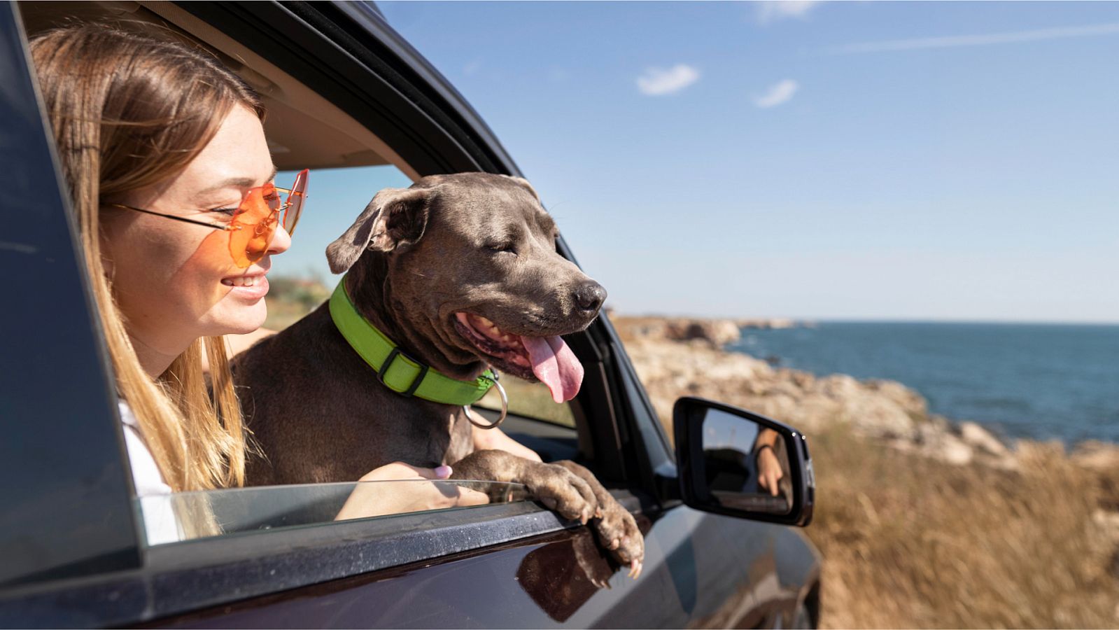 Дополнительные опции полиса путешественника