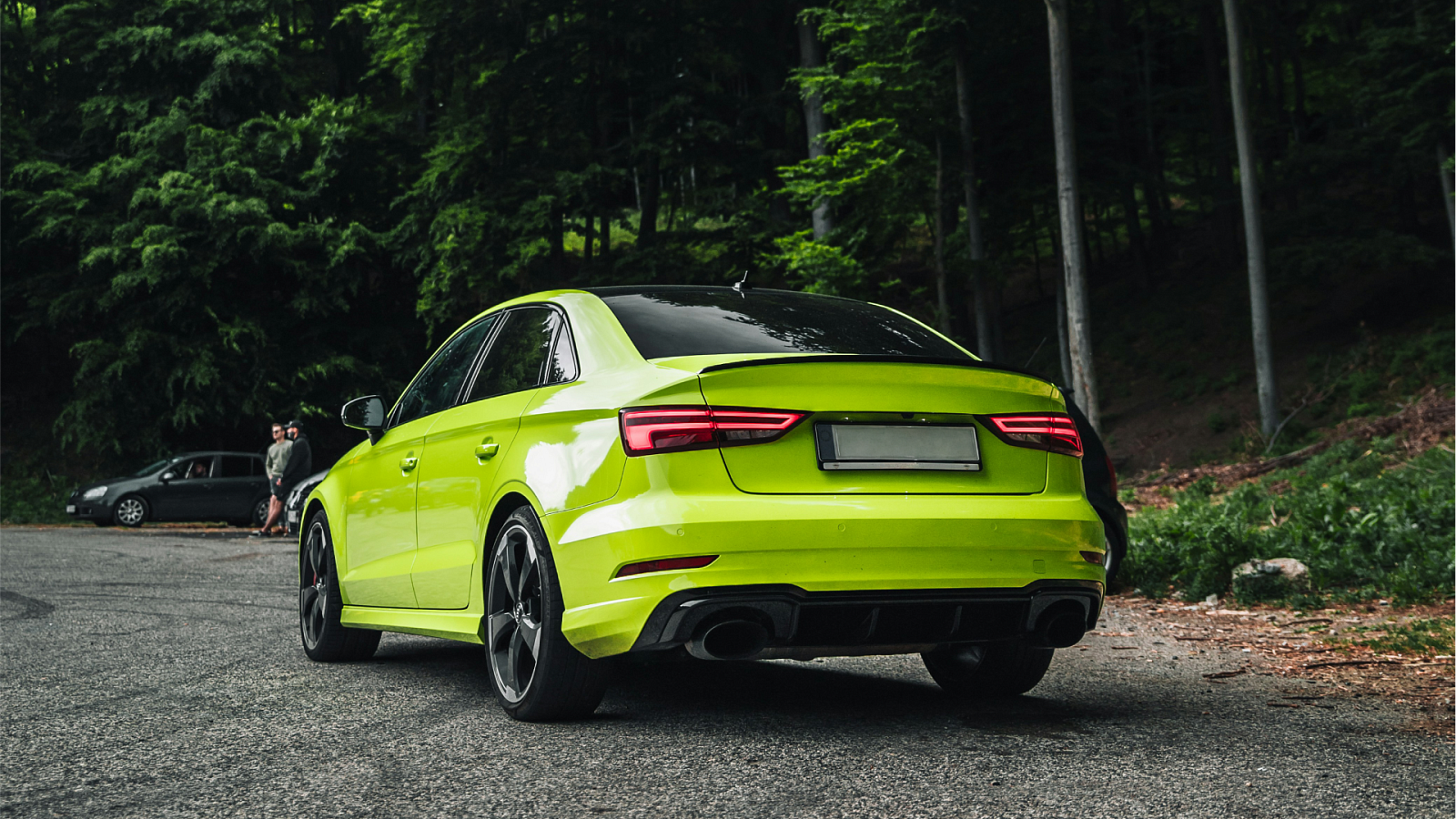 Что делать, если на автомобиль упало дерево