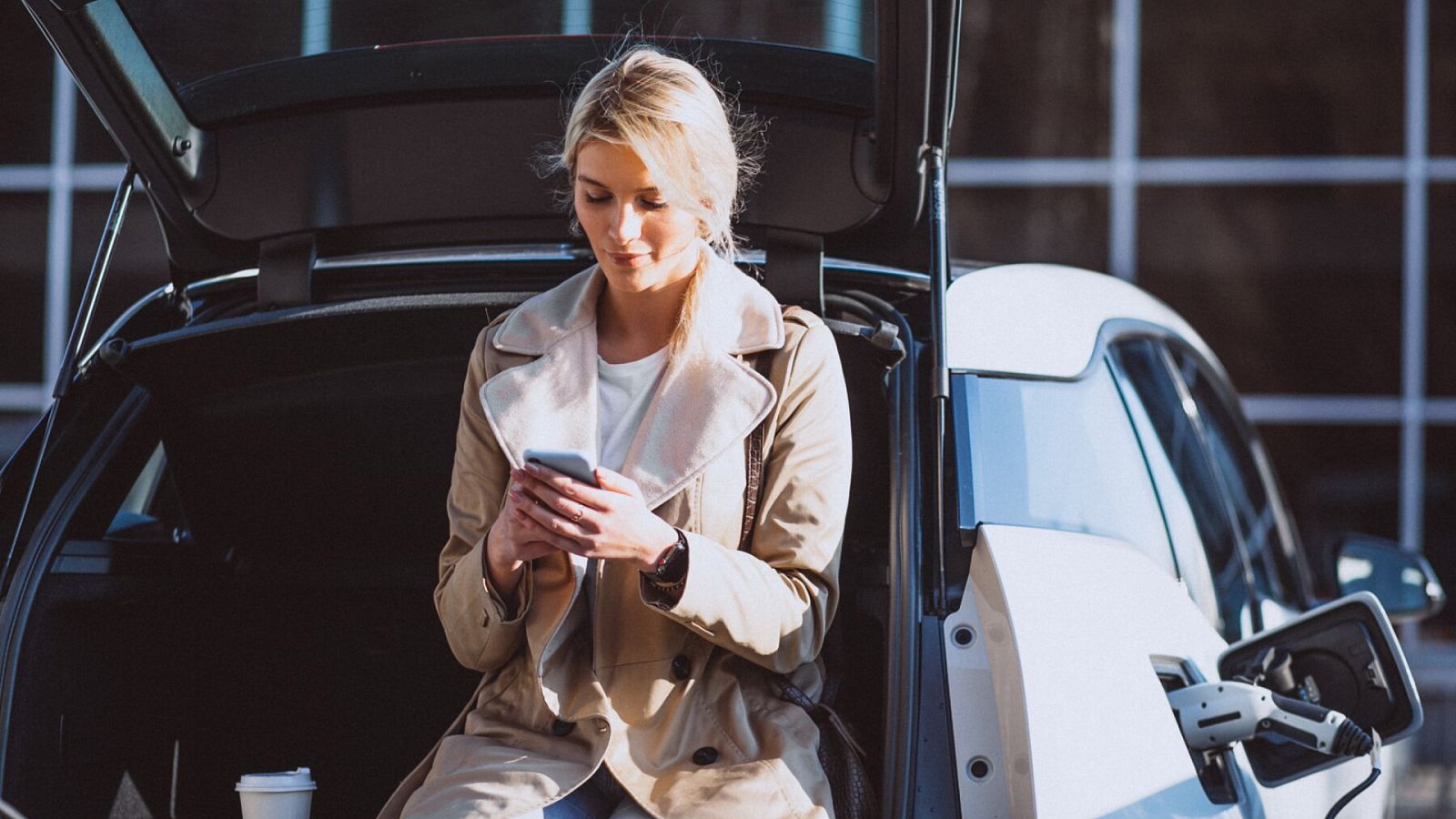 Способы проверить полис каско на подлинность